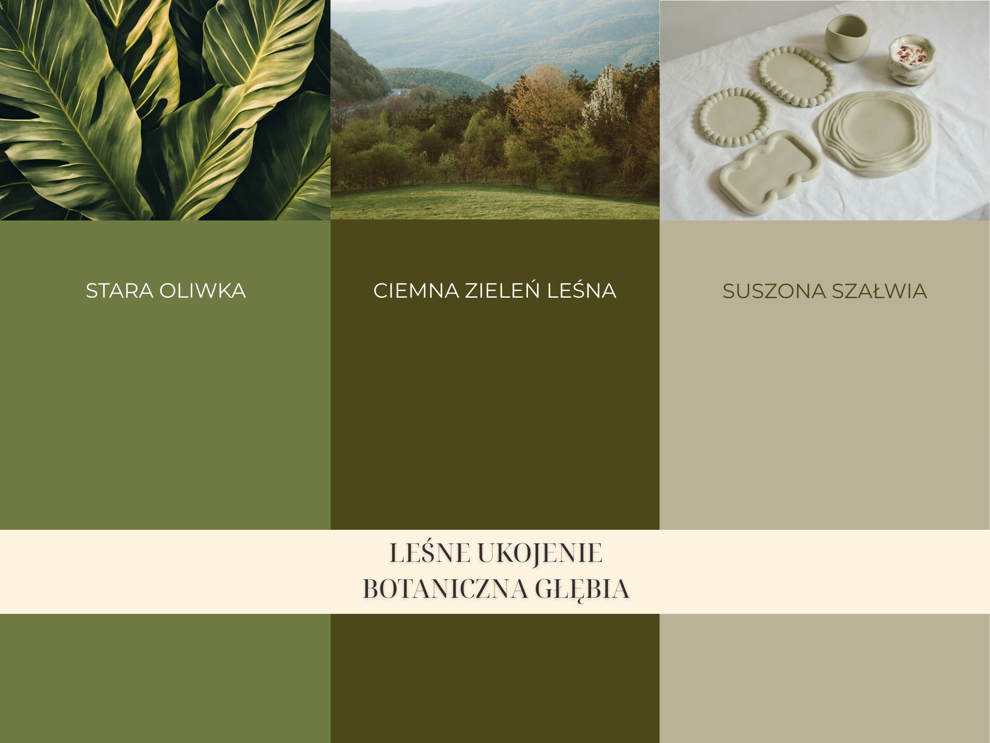 Modne zielenie we wnętrzach 2026 - szałwia i oliwka